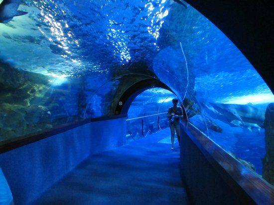 Aquarium de San Sebastián